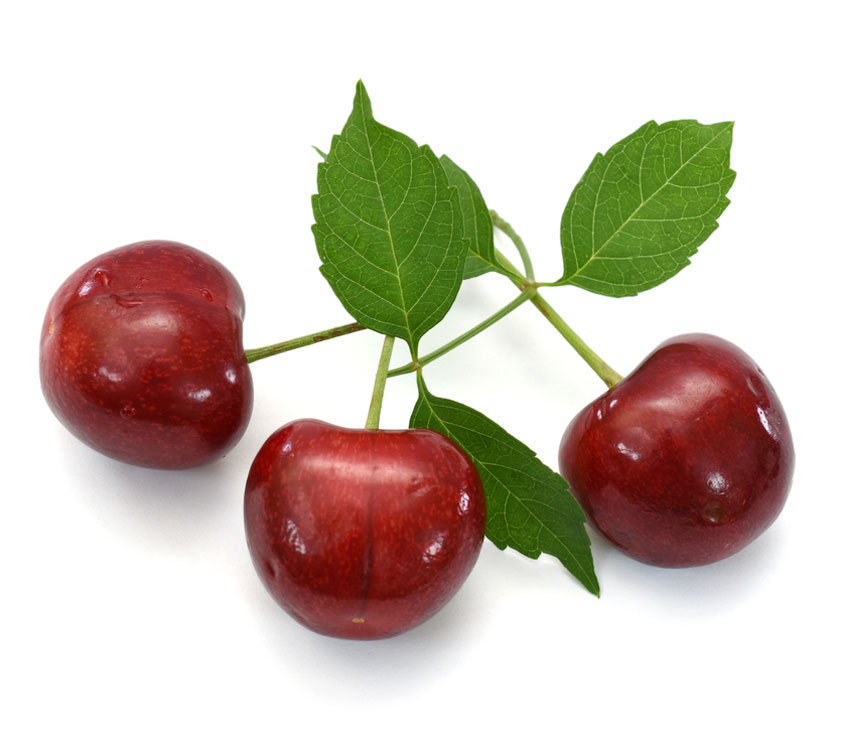 نهال گیلاس تکدانه